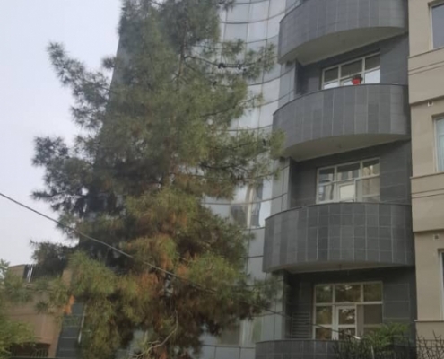 بزرگمهر جنوبی