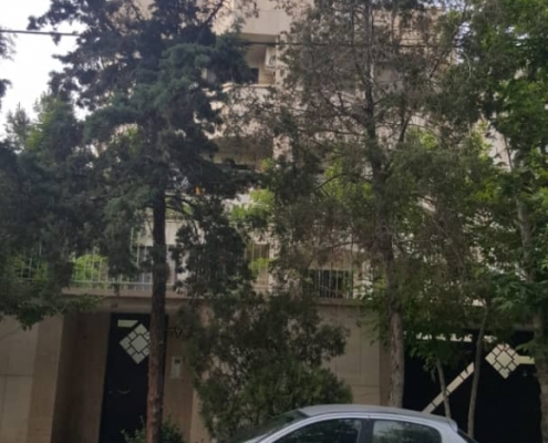 حامد شمالی