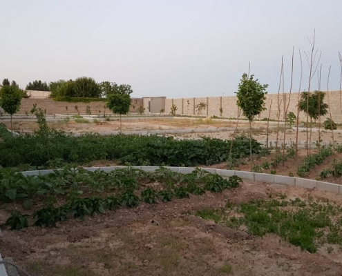 ماریان